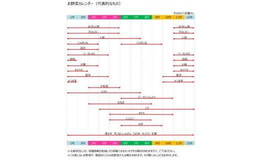 定期便 6回 奇数月発送 9〜10種類程度 2人暮らしにぴったり 南国土佐のお野菜食べきりサイズ セット 数量限定 限定 詰め合わせ 季節 新鮮 産地直送 高知県 須崎市 頒布会 ほうれん草 ブロッコ