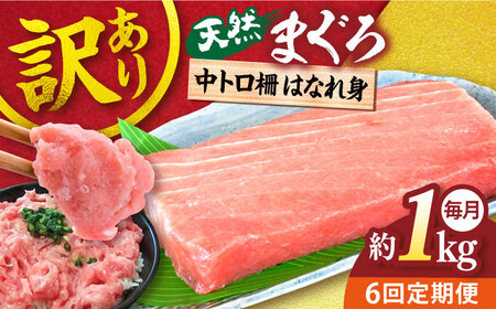 【全6回定期便】【訳あり】天然 まぐろ 中トロ はなれ身（約1kg）【横須賀商工会議所 おもてなしギフト事務局（本まぐろ直売所）】 [AKAK063]