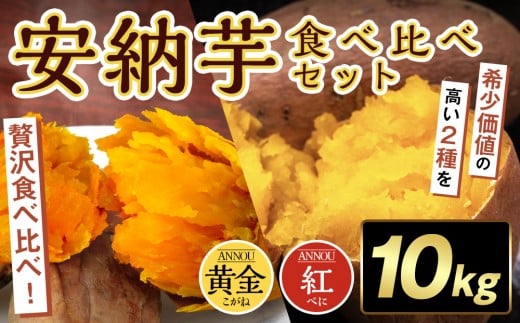種子島安納黄金・紅いも食べ比べ10kg 2S～Sサイズ（61g～150g）野菜類 じゃがいも・サツマイモ サツマイモ 種子島 安納芋 中種子町 ふるさと納税 返礼品 こだわり野菜 有機栽培 産地直送 スイートポテト 天然甘味 秋の味覚 お取り寄せ ギフト おやつ用 料理用