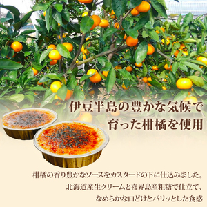 柑橘 クレームブリュレ パリカリブリュレ 4個 みかん スイーツ 菓子 お菓子 洋菓子 ブリュレ プリン 旬 オレンジ 季節 柑橘 ミカン フルーツ くだもの 果物 冷凍 デザート キャラメル クリー