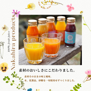 国産果汁100%ジュース＆スムージーセット（180ml×10本）［NH04］// 長野県 南信州 ストレートスムージー ストレートジュース 無加糖 無塩 香料不使用 着色料不使用 保存料不使用 天皇杯