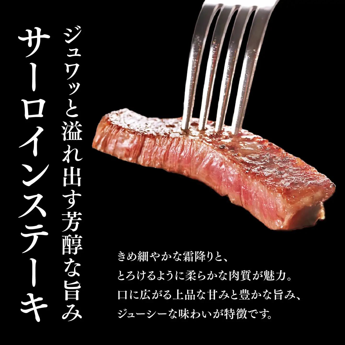 佐賀牛 サーロインステーキ 250g×1枚 K030145