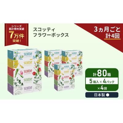 ふるさと納税 岩沼市 定期便 ティッシュ スコッティ80箱 (5箱×4P)《計4 回》[No.5704-1136] |  | 01