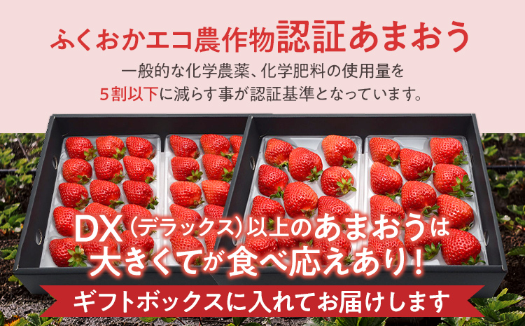 ふくおかエコ農作物認証あまおう ギフト DX等級以上 2箱セット あまおう イチゴ 苺 いちご フルーツ 果物 くだもの 福岡県産 お取り寄せグルメ お取り寄せ 福岡 お土産 九州 福岡土産 取り寄せ