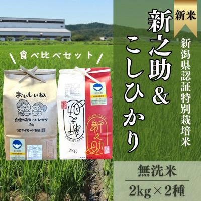 ふるさと納税 柏崎市 【特別栽培米!新之助&amp;コシヒカリ】無洗米各2kg◆令和7年産◆お米食べ比べ計4kg(精米)