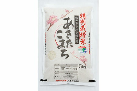【ふるさと納税】【令和7年産米】小野小町の郷 特別栽培米 あきたこまち 5kg×1袋 ふるさと納税 秋田 米 あきたこまち お米【遠田米穀店】[B9-2202]