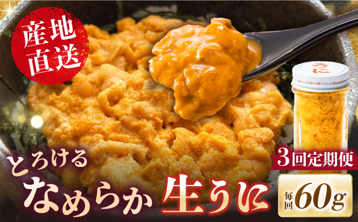 
            【全3回定期便】数量限定！壱岐の生うに 60g×1本《壱岐市》【大幸物産】生ウニ 生雲丹 うに ウニ 雲丹 希少 産地直送 冷凍配送 定期便 48000円 48000 4.8万円 [JEH025]
          
