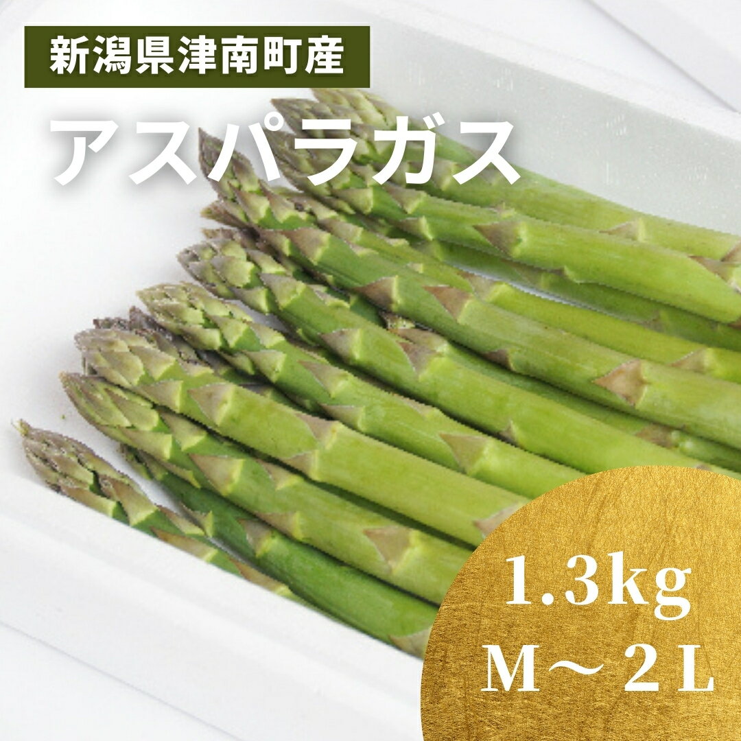 【ふるさと納税】【令和8年産先行予約】アスパラガス 朝採れ 大容量 アスパラ サイズ混合 セット お届け月 野菜 新鮮 夕飯 おかず お弁当 新鮮アスパラ 選べる 容量 新潟県 津南町