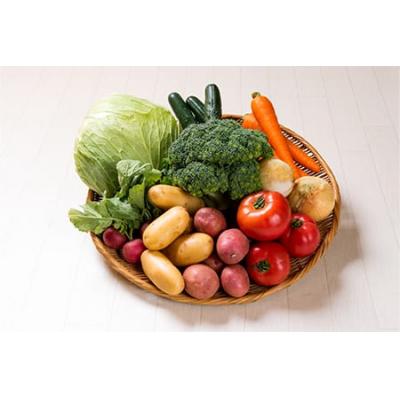 ふるさと納税 宗像市 【定期便/年12回/毎月お届け】旬のお野菜詰合せセット【道の駅むなかた】_HB0124
