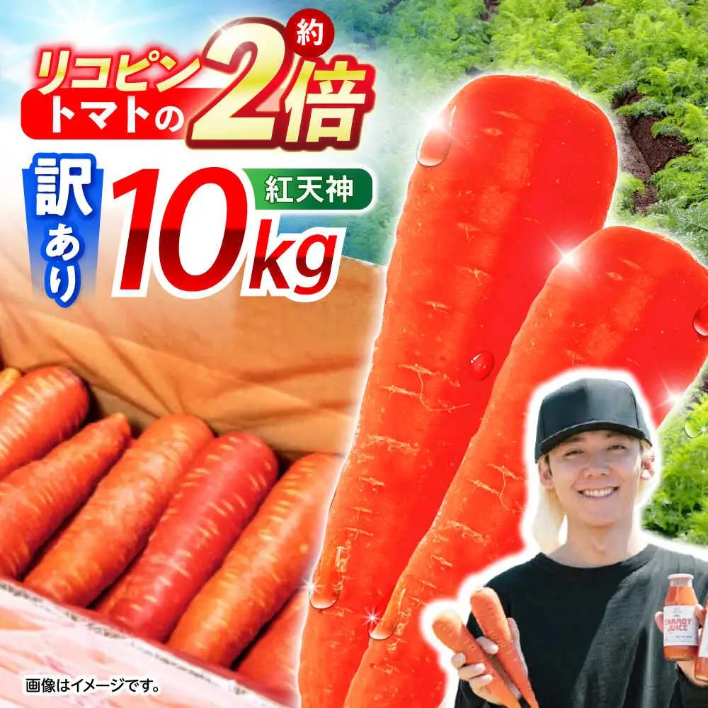 ※【2027年1月上旬より順次発送／先行予約】【訳あり】真っ赤な人参「紅天神」10kg AHCU006 人参