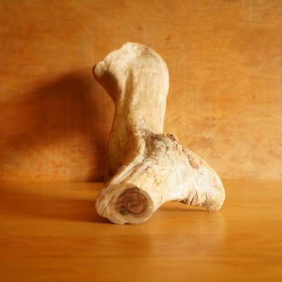 ふるさと納税 屋久島町 【屋久島の流木】中サイズ　タイプ1 |  | 01