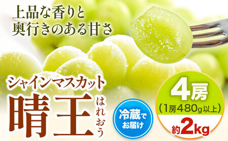 シャインマスカット晴王 約2kg シャインマスカット