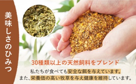 たまご 平飼いもみじたまご 20個[OAC014]