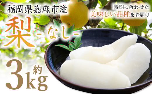 梨 3.0kg 【2025年8月上旬-12月上旬発送予定】 ナシ フルーツ くだもの 福岡県 嘉麻市