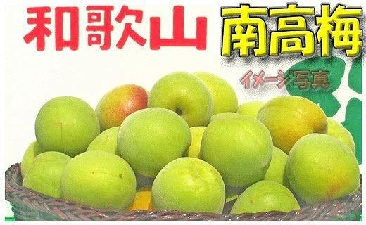 ［梅干・梅酒用］（LまたはM－10Kg）熟南高梅＜2026年6月上旬～7月7日発送予定＞フルーツ 果物 くだもの 食品 人気 おすすめ 送料無料［ART08］