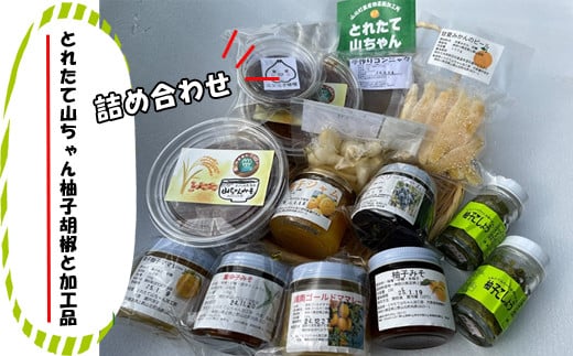 とれたて山ちゃん柚子胡椒と加工品【 柚子胡椒 味噌 自家栽培 自家製造 詰め合わせ 神奈川県 山北町 】