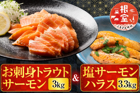 お刺身トラウトサーモン3kg＆塩サーモンハラス3.3kg D-09014