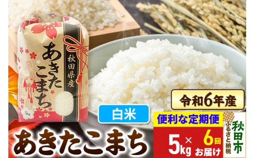 《定期便6ヶ月》 あきたこまち 5kg 令和6年産 新米 【白米】秋田県産