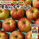 【ふるさと納税】11～12月発送【糖度保証】家庭用 葉取らず サンふじ 約5kg【訳あり】【鶴翔りんごGAP部会 青森県産 津軽産 リンゴ 林檎】　 果物 フルーツ デザート 食後 甘味 酸味 食感 　お届け：2024年11月20日～2024年12月28日