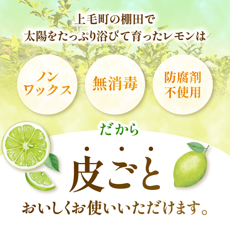 【先行受付】 上毛町産ラフマイヤーレモン 1.5kg （グリーンレモン） OF0108