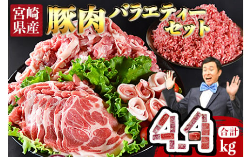 
＜宮崎県産豚肉 バラエティーセット4.4kg＞翌月末迄に順次出荷【 豚 国産 肉 詰合わせ 詰め合わせ 小分け 切落し 切り落とし 豚肉 スライス 野菜炒め 生姜焼き 便利 4,400g 】
