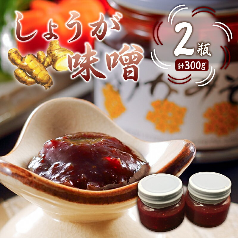 【ふるさと納税】しょうが味噌 150g×2個 千葉県 南房総市 生姜 味噌 甘辛い ご飯 お供 こんにゃく みそおでん ふろふき大根 きゅうり 野菜炒め 高家ふるさと産品 料理 食品 グルメ お取り寄せ 送料無料