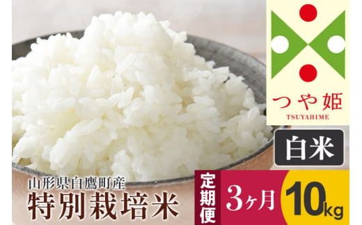 
《定期便3ヶ月》【白米】つや姫 10kg×3回（特別栽培米）令和5年産 山形県産 しらたかのお米
