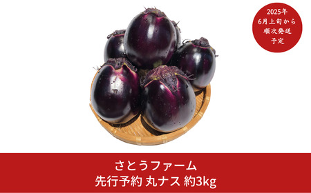 ナス(茄子) 約3kg 丸ナス 令和7年産ナス 灰汁が少ないナス 甘味があるナス 新潟県 三条市産ナス  [さとうファーム] 