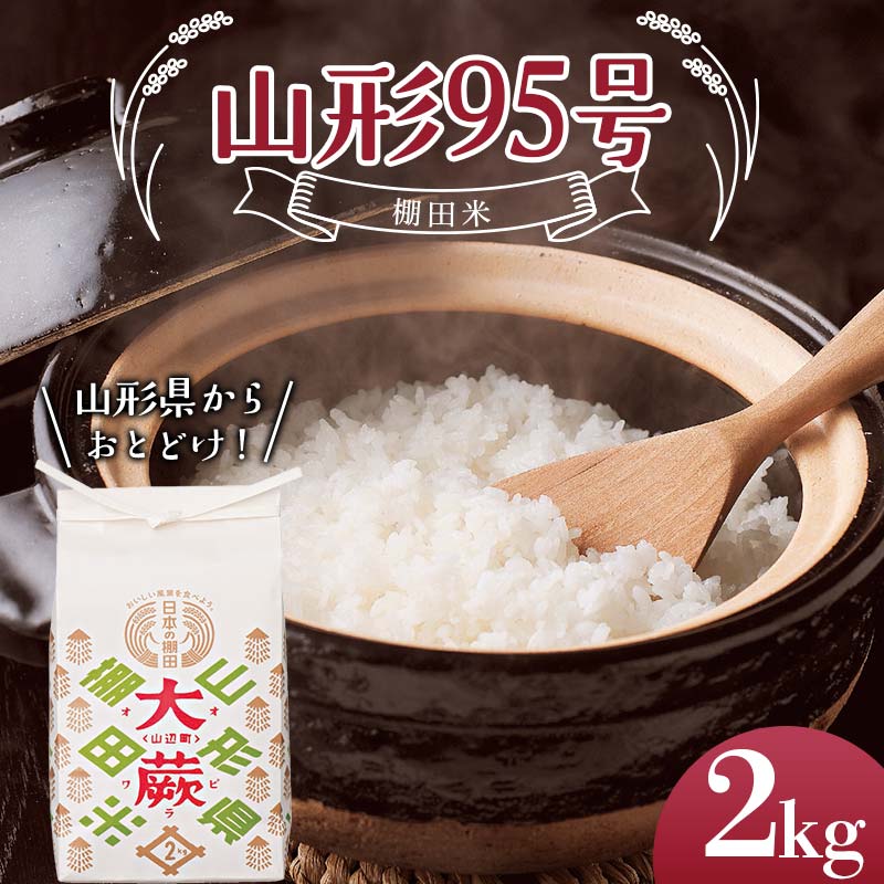 【ふるさと納税】 【令和7年産米】山形県山辺町大蕨地区産 山形95号（棚田米） F2Y-6509