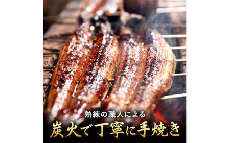 ＜ R8年熊本地震復興支援 ＞うなぎの蒲焼 (江戸前) 4尾セット