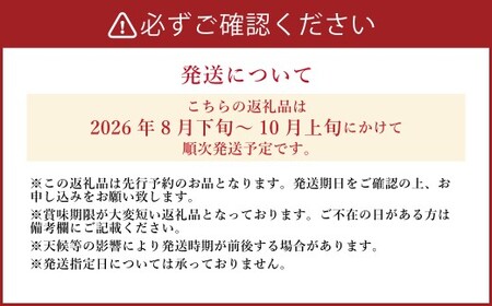 《先行予約》 山之上の梨 （ 品種はおまかせ ） 約5kg （ 8～14玉 ） 【2026年8月下旬～10月上旬発送予定】