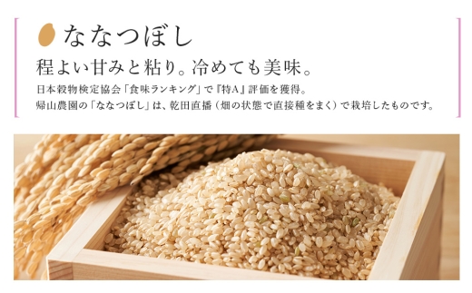 【新米予約】玄米【12カ月定期便】特別栽培米産地直送玄米ななつぼし10kg　箱入《帰山農園》