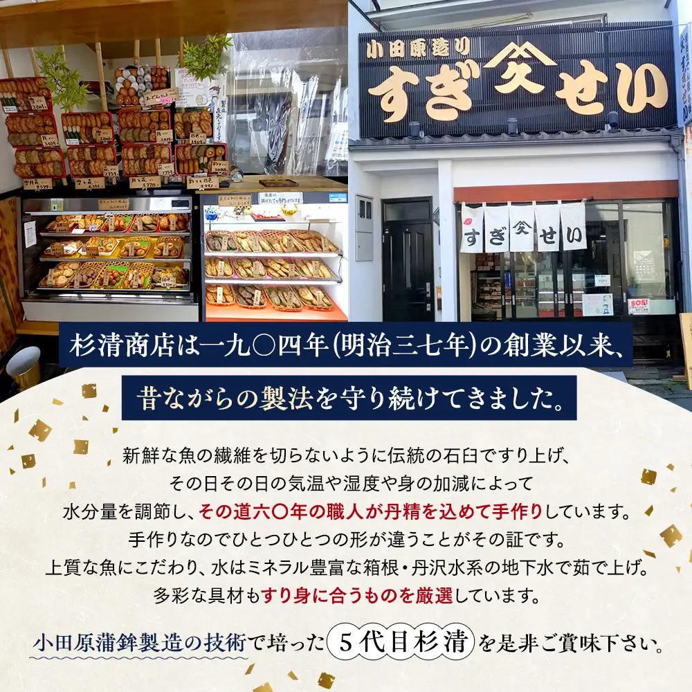 さつま揚げセットお手軽美味しいセット101【創業１９０４年 昔ながらの製法　伝統のさつま揚げ 手造りさつま揚げ 職人のこだわり 伝統製法 上質なすり身 小田原の特産品 小田原名物 おいしいさつま揚げ 