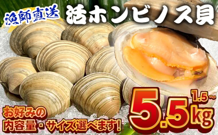 
                  漁師直送！活ホンビノス貝 1.5kg 2.5kg 3.5kg 4.5kg 5.5kg 【内容量・サイズ選べます】　ホンビノス 貝 白はまぐり 大あさり 浜焼き BBQ バーベキュー アウトドア キャンプ 漁師直送 産地直送 魚介類 海鮮 貝 シーフード クラムチャウダー スープ パスタ 天ぷら 酒蒸し 千葉県
                