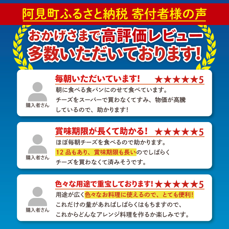  雪印メグミルク スライスチーズ詰め合わせセット（12品）【チーズ スライスチーズ クリームチーズ 粉チーズ カルシウム 鉄分】(02-06)