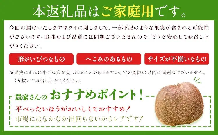 キウイ キウイフルーツ 徳島県産 ご家庭用 訳あり 2.2kg