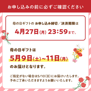 「母の日ギフト」八女のお花を使ったラウンドアレンジメント(赤）＜配送不可：北海道・沖縄・離島＞ 036-005-R