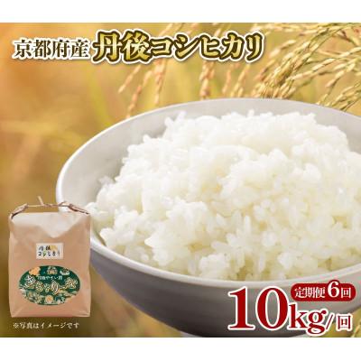 ふるさと納税 京都府 【毎月定期便】丹後コシヒカリ 10kg 全6回 特A米 ブランド米を6ヶ月×10キロお届け