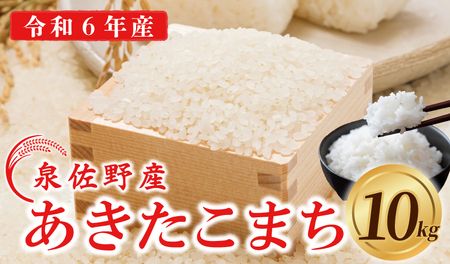 【数量限定】令和6年産 あきたこまち 10kg 泉佐野産 5kg×2袋 白米 お米