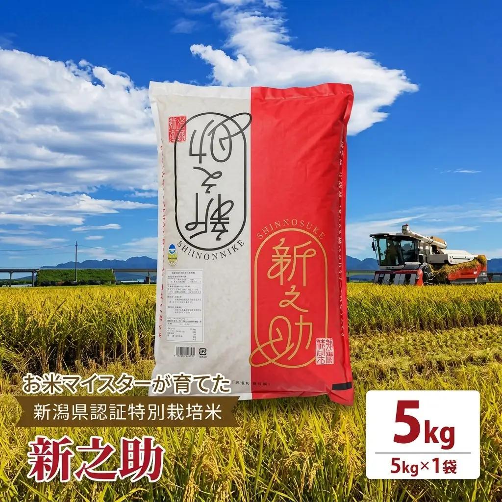 お米マイスター 特別栽培米新之助 上越頸城産 精米5kg 新之助