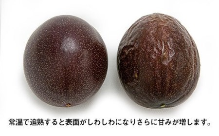 【2024年発送】津嘉山パッションフルーツ　約1kg