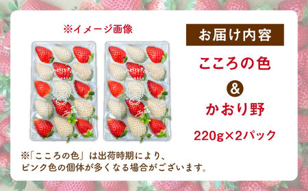 【R8年1月以降発送】こころの色×かおり野ミックス 紅白いちごセット 計440g（220g×2パック） 【Strawberryfarm-K】 紅白いちご 希少 いちご 果物 フルーツ かおり野 セット