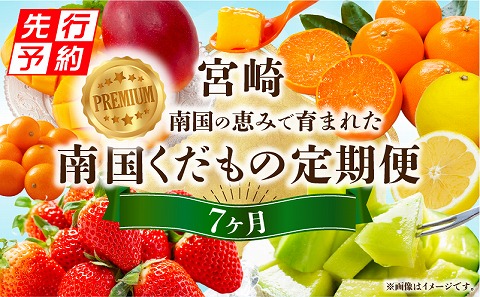 《2027年発送先行予約》【数量・期間限定】プレミアム南国くだもの7ヶ月定期便 フルーツ 果物 定期便 7回 いちご 日向夏 金柑 せとか マンゴー 太陽のタマゴ メロン