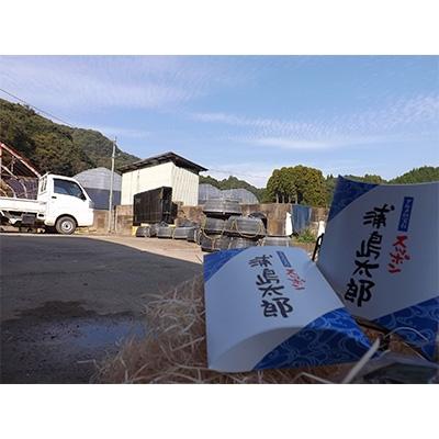 ふるさと納税 多久市 冷凍スッポン(約2〜3人前) 2パック |  | 02