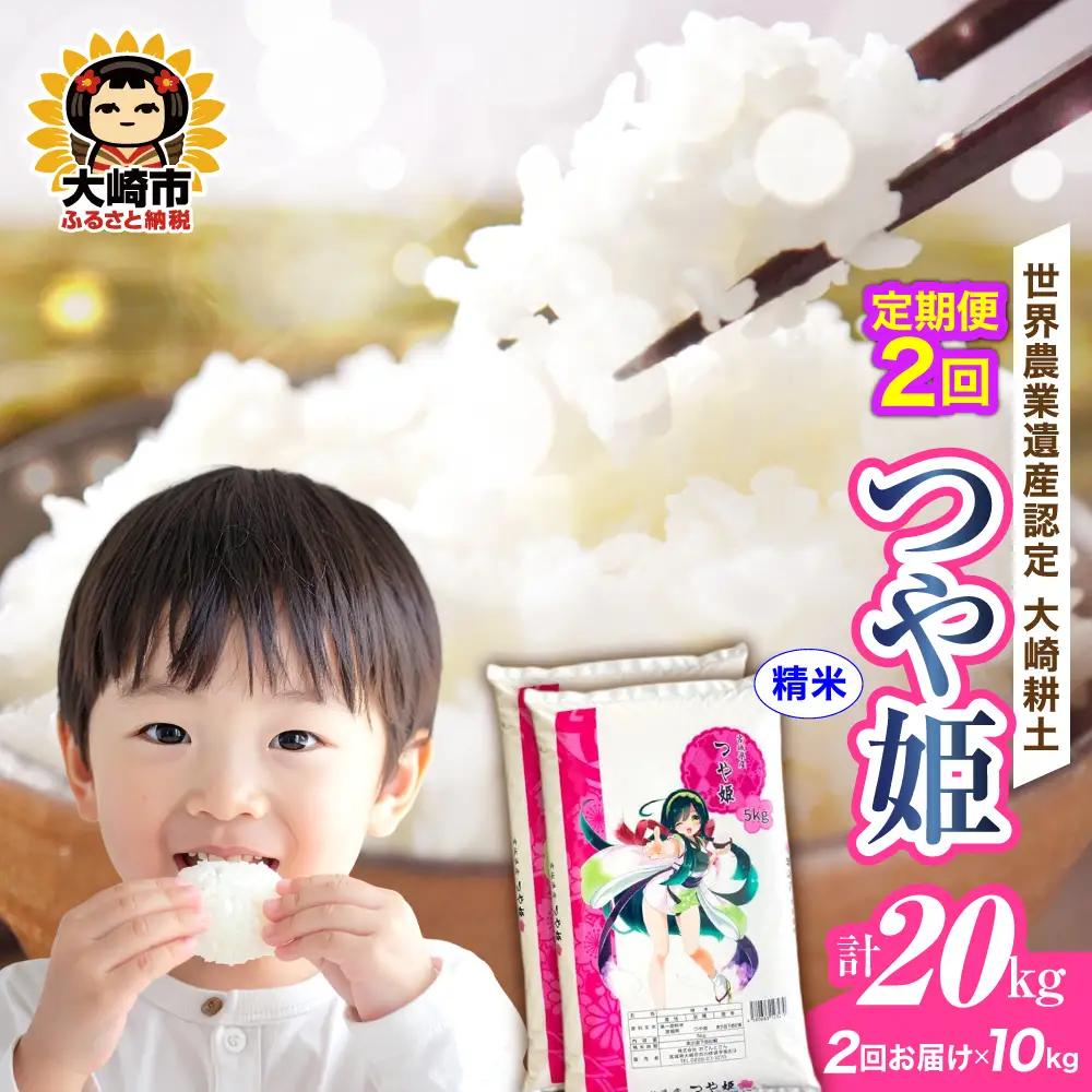 定期便《精米》令和7年 宮城県産 つや姫  10kg(5kg×2)×2回（計20kg） | ot004-th-10kg-r704-t2