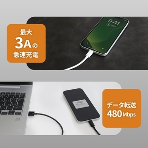 Owltech(オウルテック) 耐屈曲1万回 急速充電3A充電／データ転送 USB Type-A to USB Type-C ブレイデッドケーブル 2m OWL-CBN1AC20-BK ブラック【 神