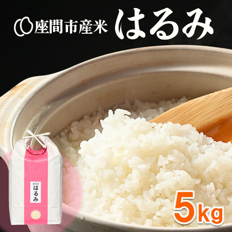 【ふるさと納税】座間市産米 はるみ 5kg ※離島への配送不可 ※2025年10月下旬頃より順次発送予定