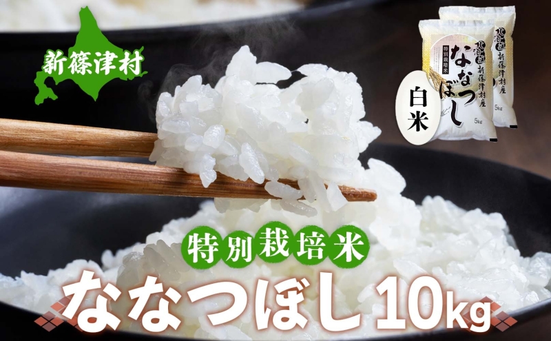 北海道 特別栽培 令和7年産 ななつぼし 10kg 精米 米 白米 お