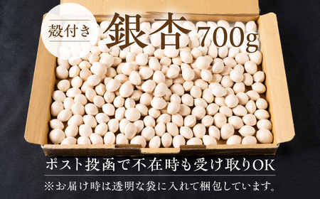 銀杏 700g｜銀杏