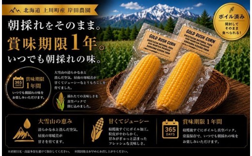 【先行予約/９月以降発送】大雪山の黄金 　朝採れ！ゴールドラッシュコーン１０本　～賞味期限１年～